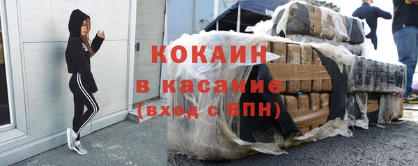 твердый Ладушкин