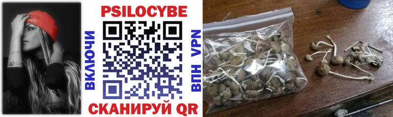 Псилоцибиновые грибы Cubensis Кудымкар
