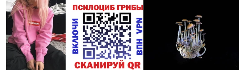 Псилоцибиновые грибы мицелий  Кудымкар 